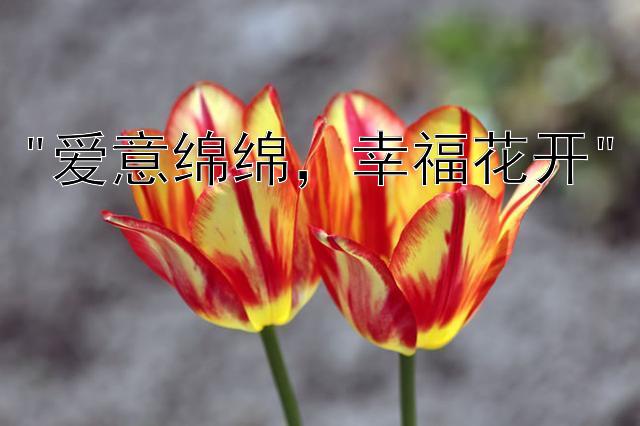 爱意绵绵，幸福花开