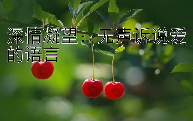 深情凝望：无声诉说爱的语言