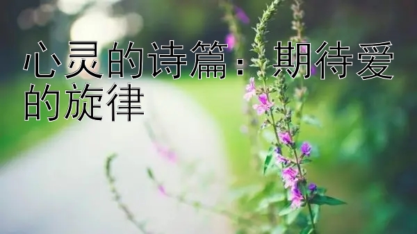 心灵的诗篇：期待爱的旋律