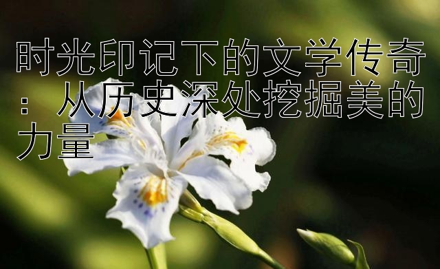 时光印记下的文学传奇：从历史深处挖掘美的力量