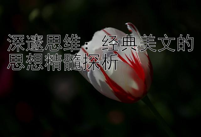 深邃思维：经典美文的思想精髓探析