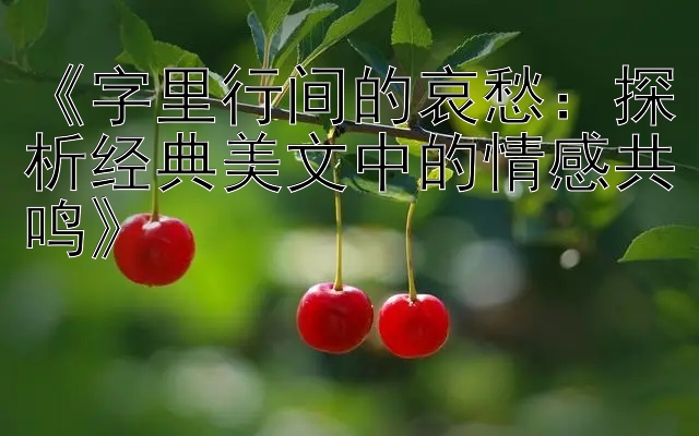 《字里行间的哀愁：探析经典美文中的情感共鸣》