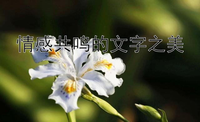 情感共鸣的文字之美