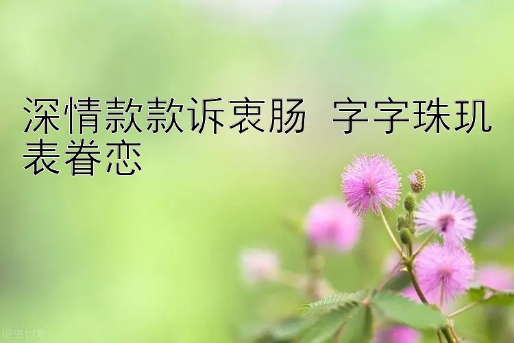 深情款款诉衷肠 字字珠玑表眷恋