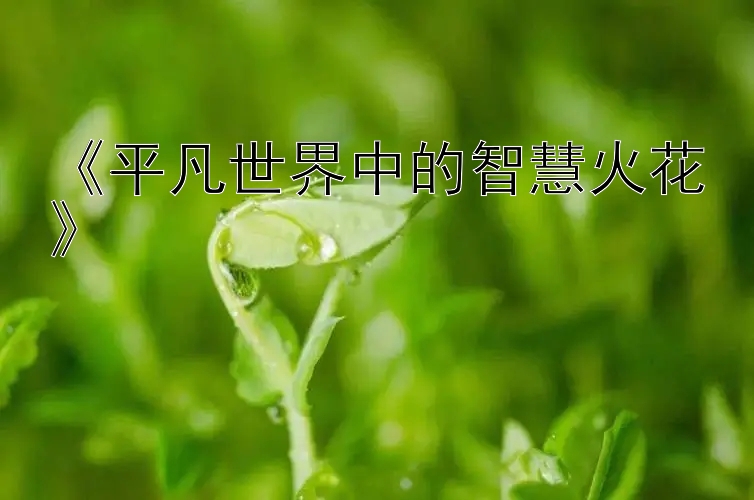 《平凡世界中的智慧火花》