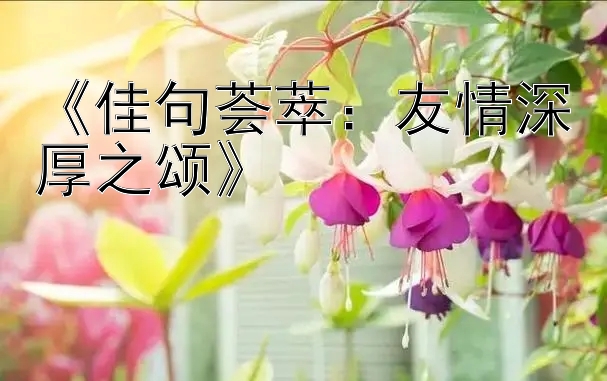 《佳句荟萃：友情深厚之颂》