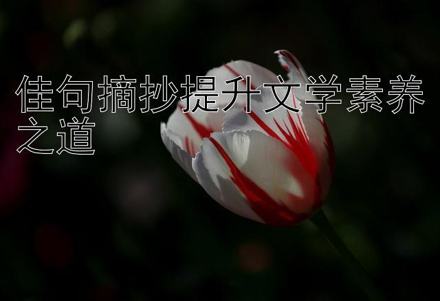 佳句摘抄提升文学素养之道