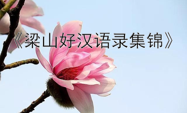 《梁山好汉语录集锦》