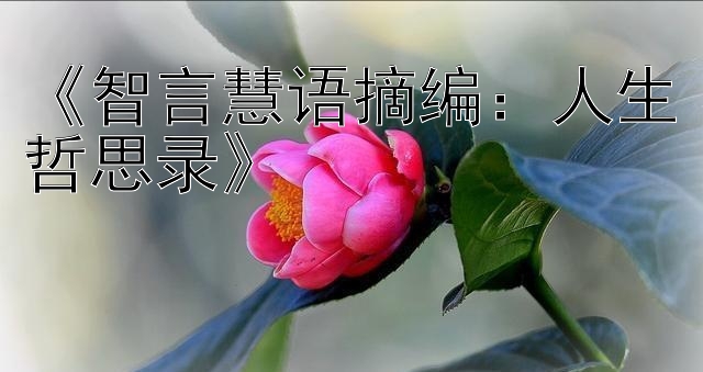 《智言慧语摘编：人生哲思录》