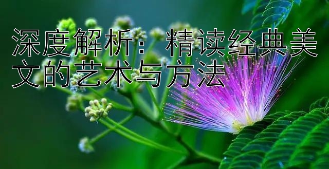 深度解析：精读经典美文的艺术与方法