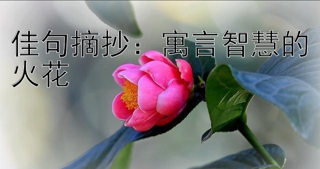 佳句摘抄：寓言智慧的火花