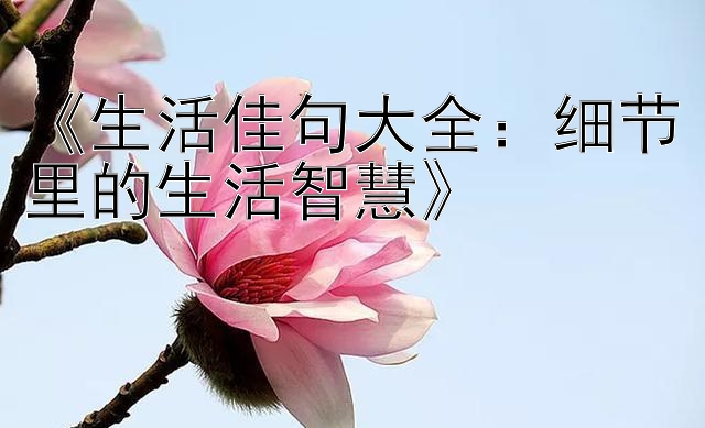 《生活佳句大全：细节里的生活智慧》