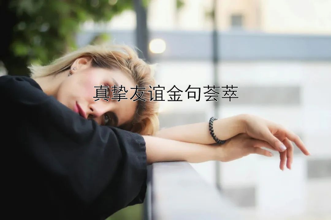 真挚友谊金句荟萃