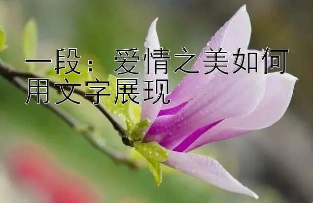 一段：爱情之美如何用文字展现