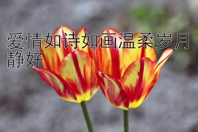 爱情如诗如画温柔岁月静好