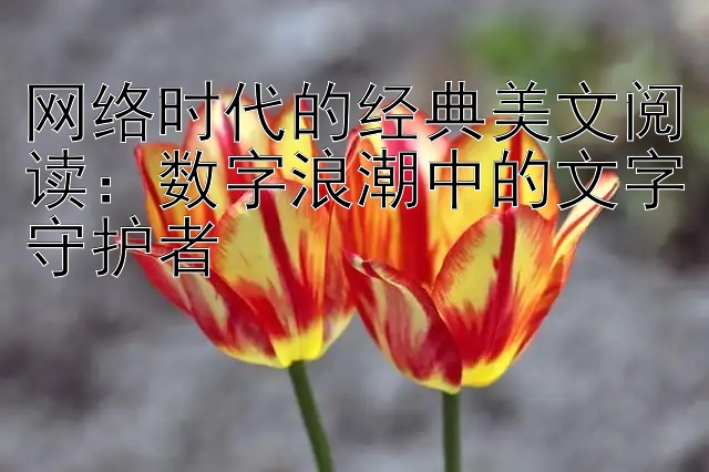 网络时代的经典美文阅读：数字浪潮中的文字守护者