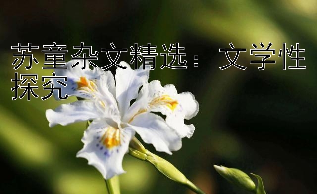 苏童杂文精选：文学性探究