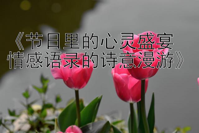 《节日里的心灵盛宴 情感语录的诗意漫游》