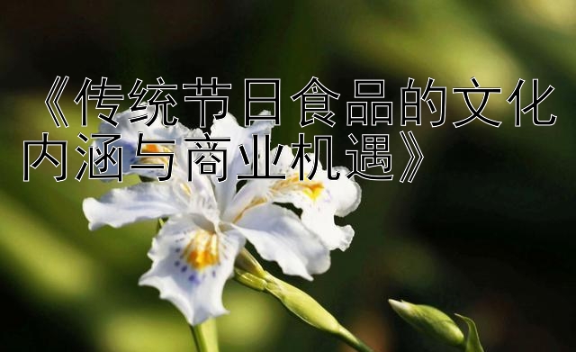 《传统节日食品的文化内涵与商业机遇》