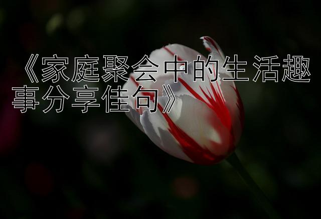 《家庭聚会中的生活趣事分享佳句》