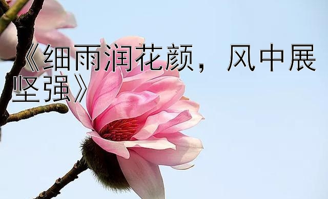 《细雨润花颜，风中展坚强》