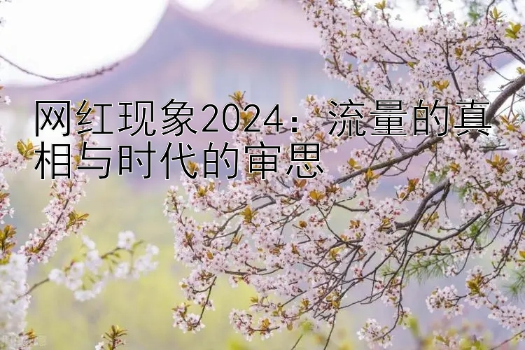 网红现象2024：流量的真相与时代的审思