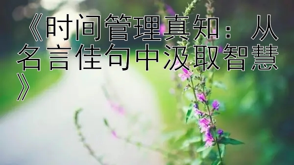 《时间管理真知：从名言佳句中汲取智慧》