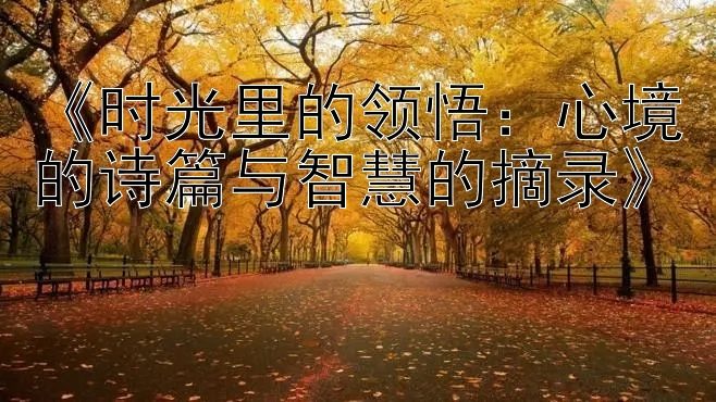 《时光里的领悟：心境的诗篇与智慧的摘录》