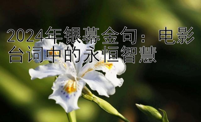 2024年银幕金句：电影台词中的永恒智慧