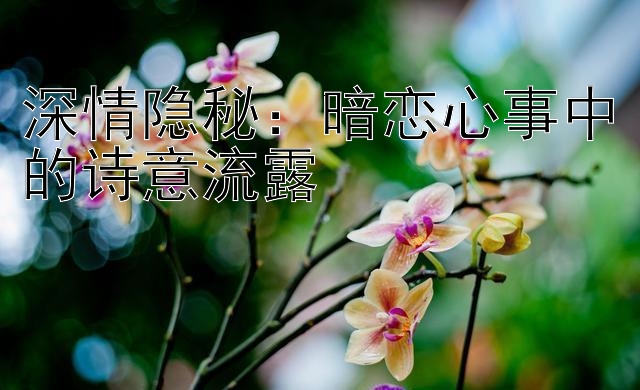 深情隐秘：暗恋心事中的诗意流露