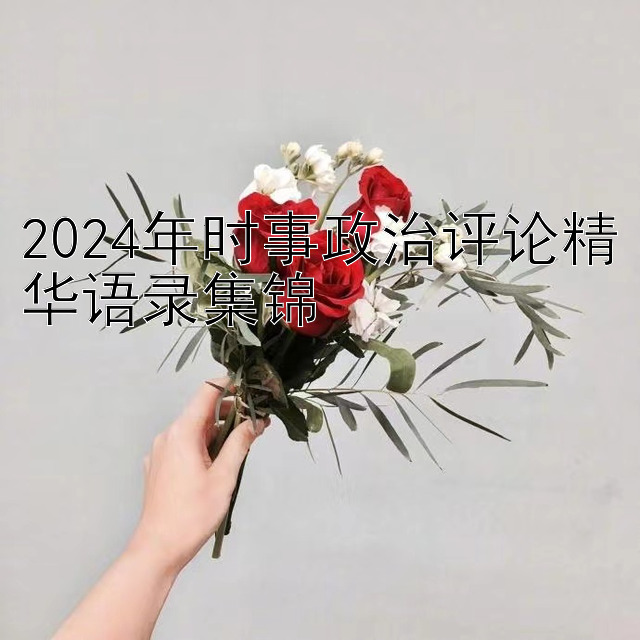 2024年时事政治评论精华语录集锦