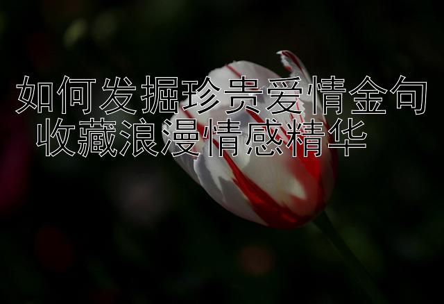 如何发掘珍贵爱情金句 收藏浪漫情感精华