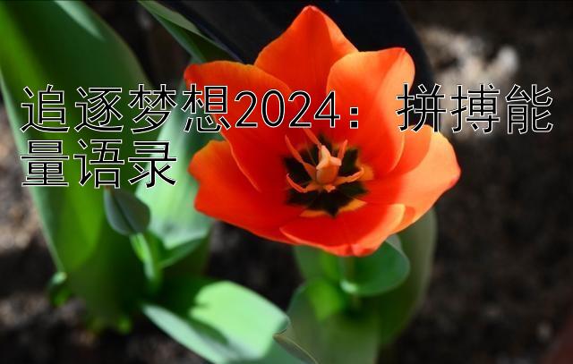 追逐梦想2024：拼搏能量语录