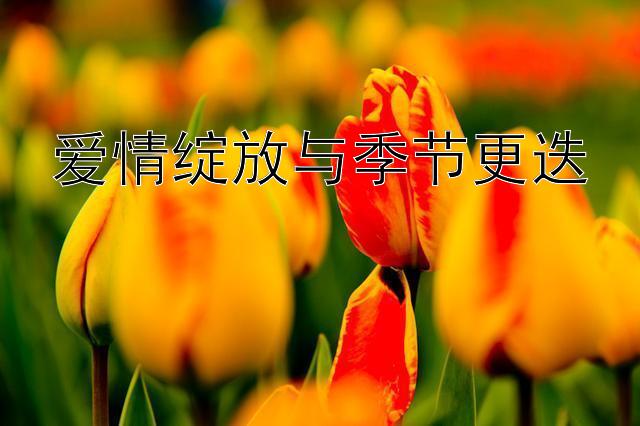 爱情绽放与季节更迭