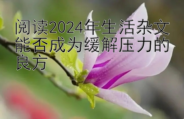 阅读2024年生活杂文能否成为缓解压力的良方