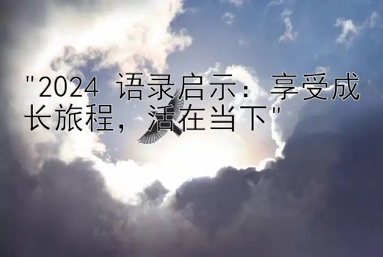 2024 语录启示：享受成长旅程，活在当下