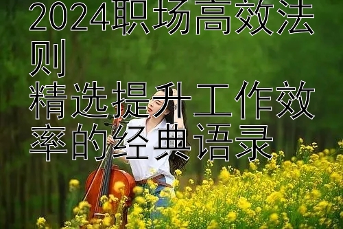 2024职场高效法则  
精选提升工作效率的经典语录