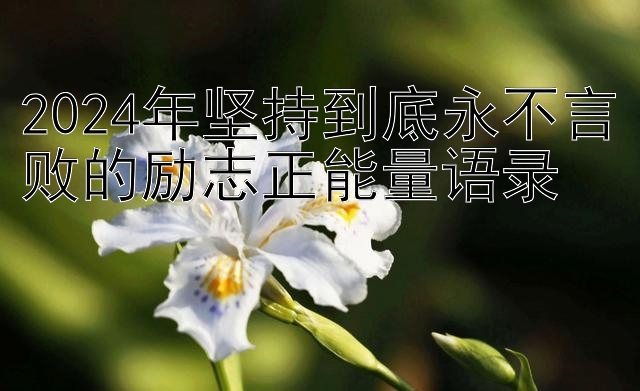 2024年坚持到底永不言败的励志正能量语录