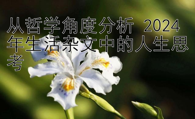 从哲学角度分析 2024 年生活杂文中的人生思考