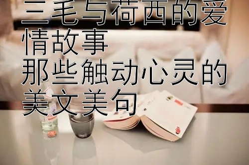 三毛与荷西的爱情故事  
那些触动心灵的美文美句