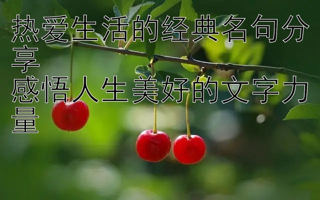 热爱生活的经典名句分享  
感悟人生美好的文字力量