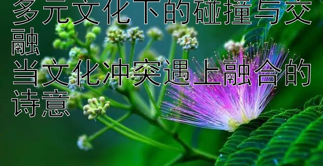 多元文化下的碰撞与交融  
当文化冲突遇上融合的诗意