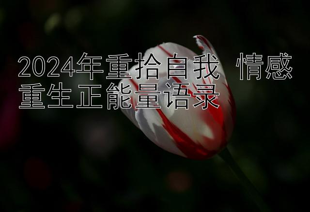 2024年重拾自我 情感重生正能量语录