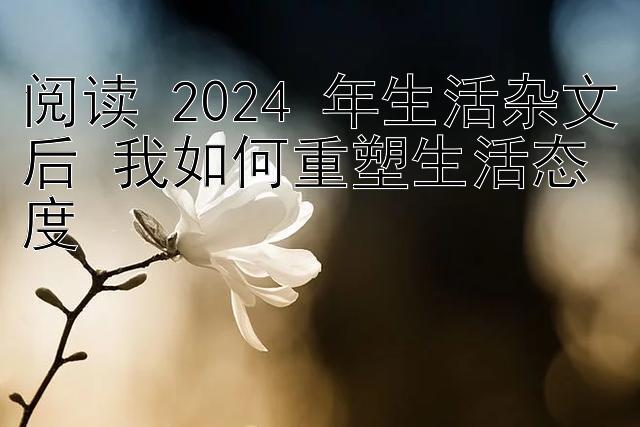 阅读 2024 年生活杂文后 我如何重塑生活态度