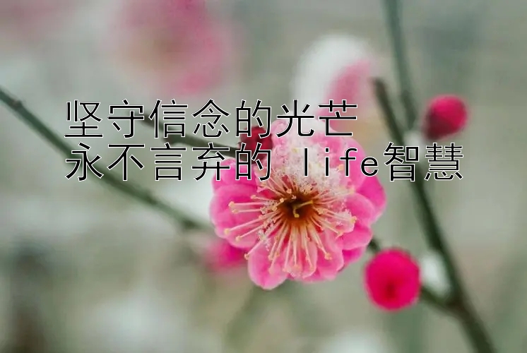 坚守信念的光芒  
永不言弃的 life智慧