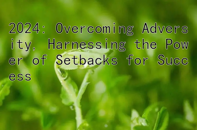 2024: Overcoming Adversity, Harnessing the Power of Setbacks for Success