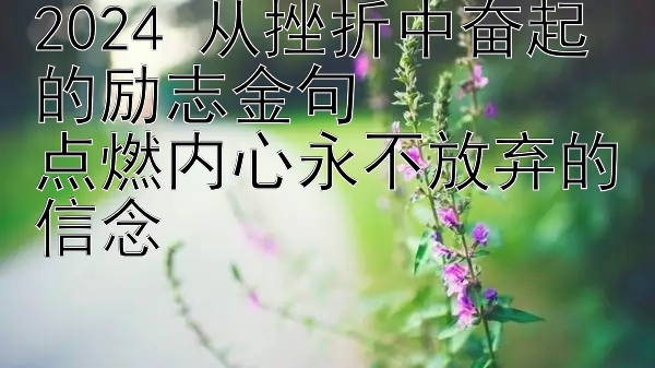 2024 从挫折中奋起的励志金句  
点燃内心永不放弃的信念