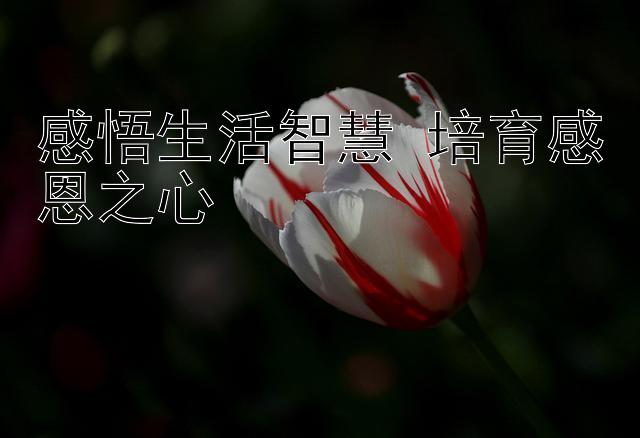 感悟生活智慧 培育感恩之心