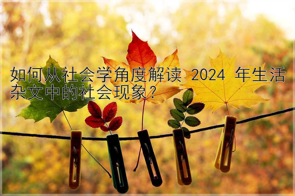 如何从社会学角度解读 2024 年生活杂文中的社会现象？