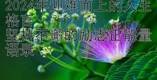 2024年迎难而上的人生格言  
坚持不懈的励志正能量语录